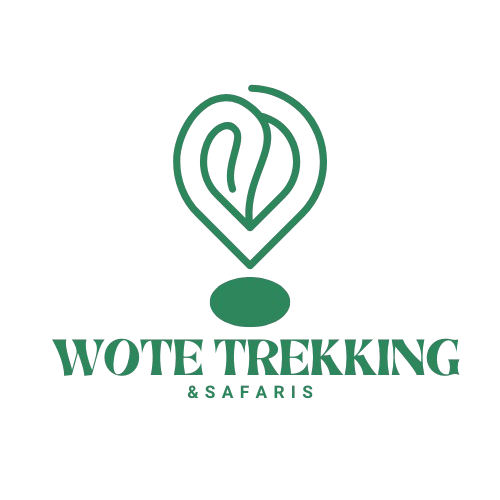 Wote Trekking & Safaris
 Logo